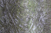 Ose fibreglass roof work